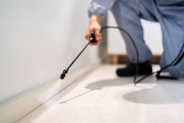Bed Bug Pre-Treatment Preparation Assessment in Pasadena