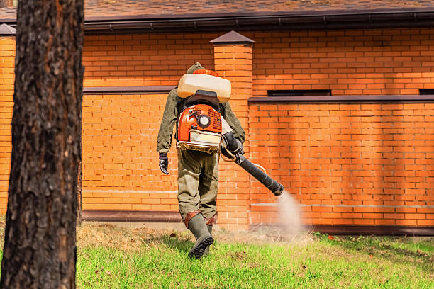 Bed Bug Clearance Verification and Documentation in Pasadena